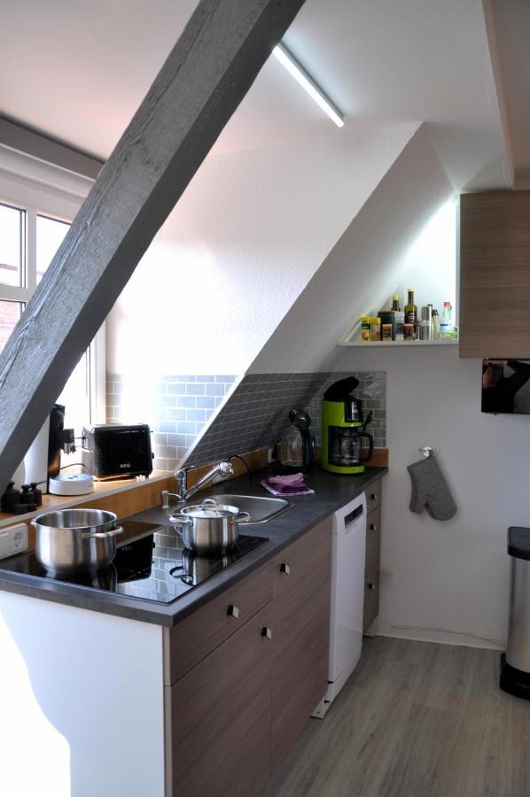 Gemuetliche Dachwohnung Mit Kleiner Oder Grosser Dachterrasse Nebeneinander Wolmirstedt Exteriör bild